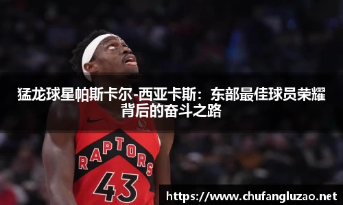 OB视讯官网