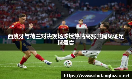 西班牙与荷兰对决现场球迷热情高涨共同见证足球盛宴