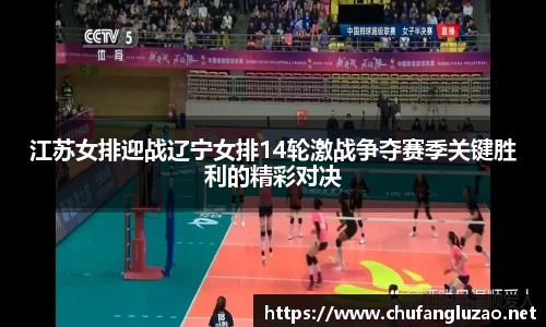 江苏女排迎战辽宁女排14轮激战争夺赛季关键胜利的精彩对决
