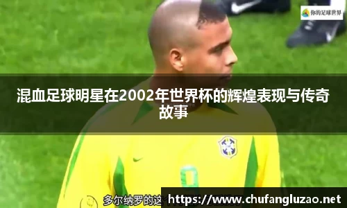 OB视讯平台