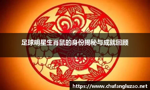 足球明星生肖鼠的身份揭秘与成就回顾